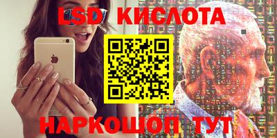 прущие грибы Краснокаменск