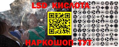 прущие грибы Краснокаменск